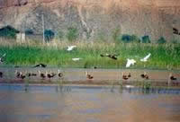 �L(f��ng)�����o�^(q��)