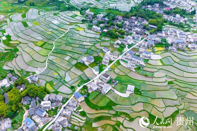 �����F�(y��ng)�л�Ϫ�^(q��)��������������W(w��ng)ӛ�� Ϳ���z